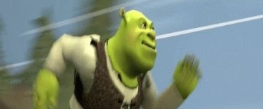 Get up bitches banner