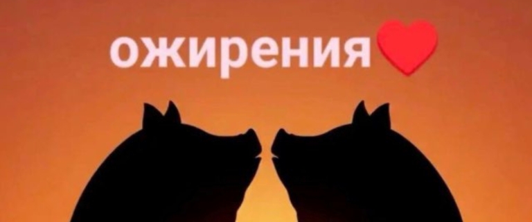 боевые перчатки banner