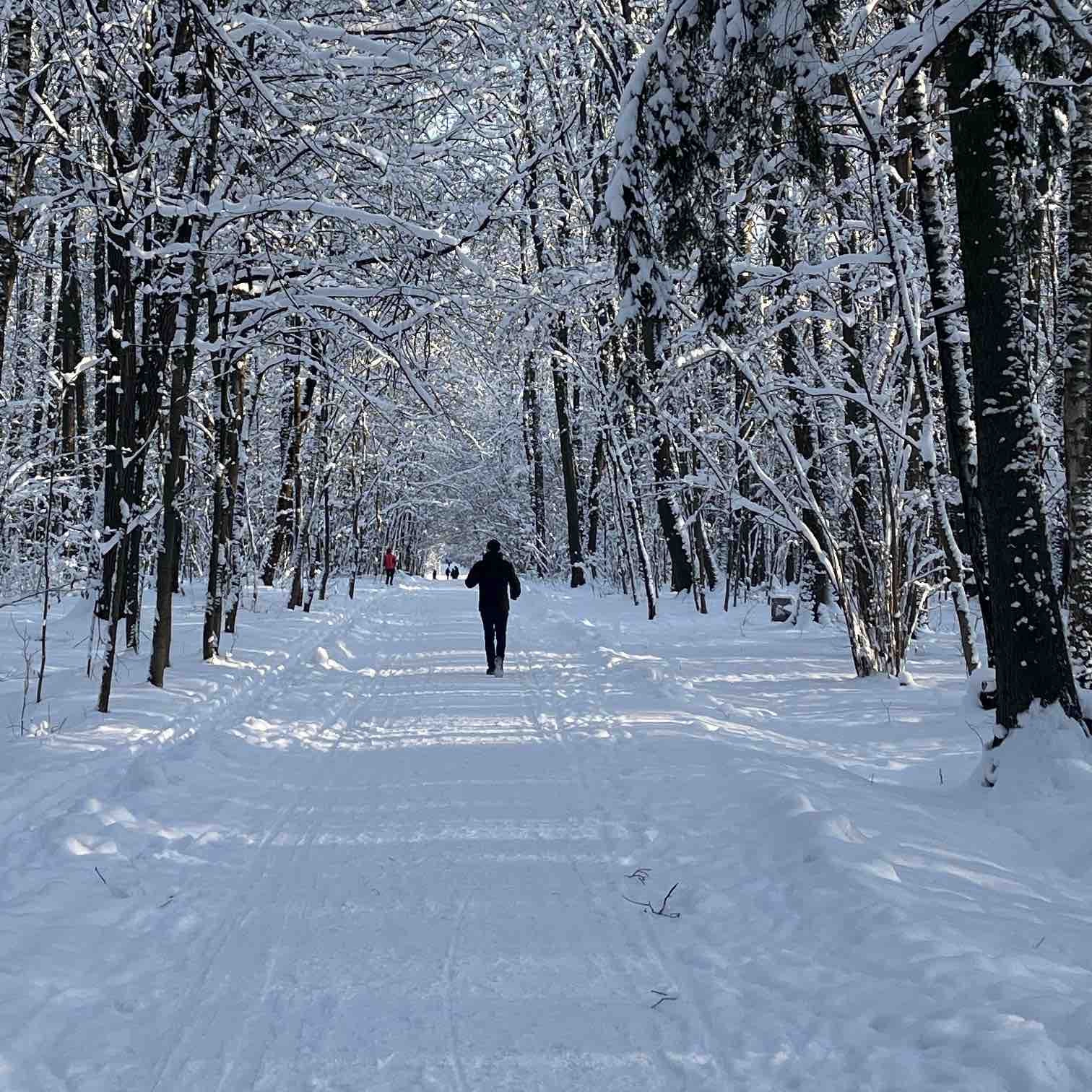 Ходьба на улице. logo