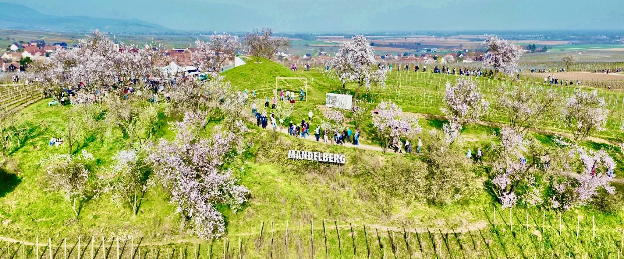 La marche, le plein d énergie banner