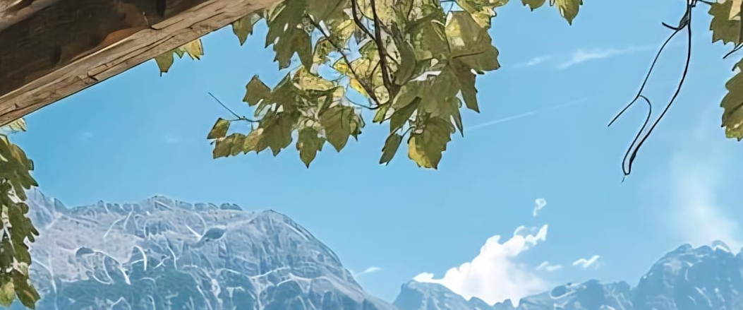 🦋JUST WALKS🦋 banner