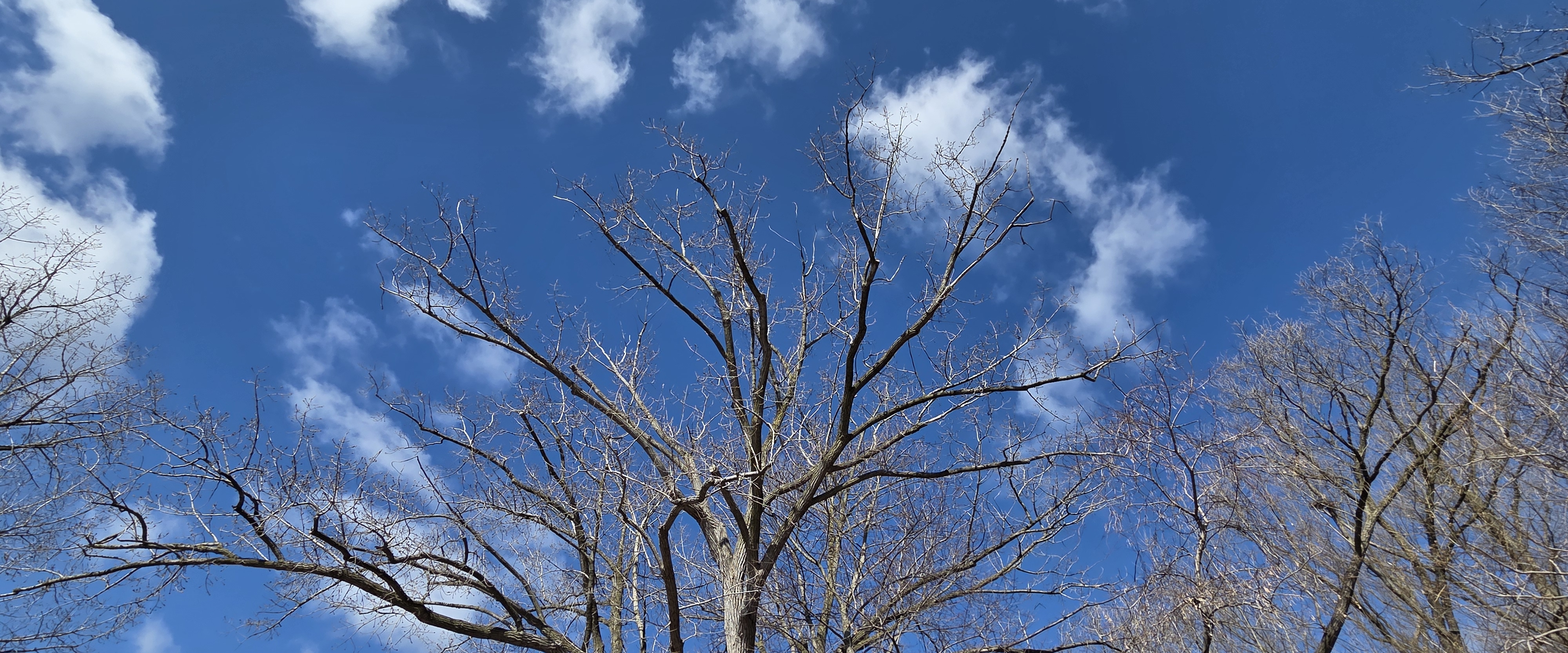 Спорт и здоровье banner