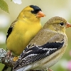 😍BEAUTIFUL NATURE😍 logo