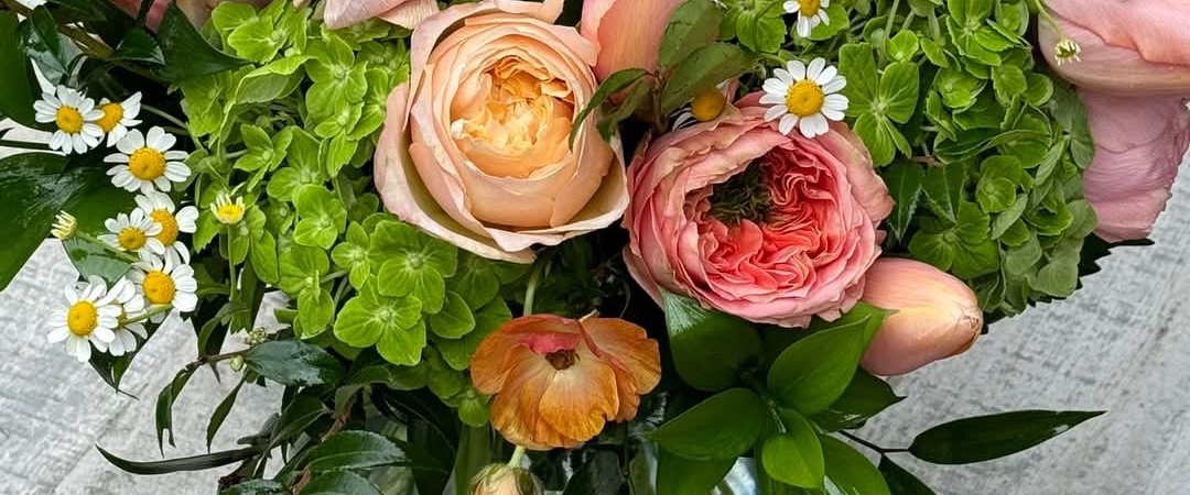 Amazing Steps💙🦜 banner