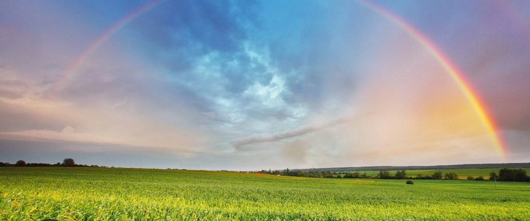 🌈 Rainbow 🌈 banner