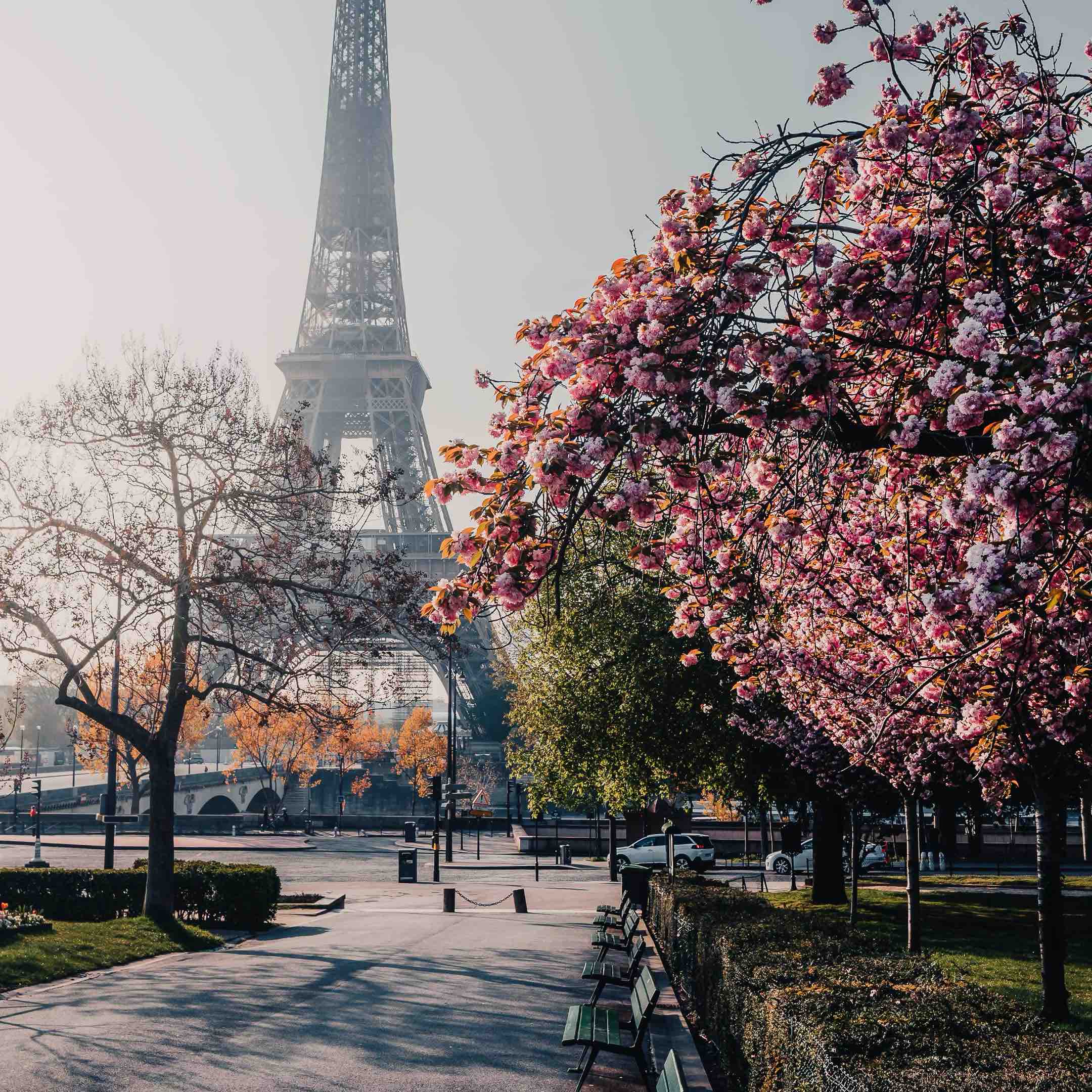 Smille 🫶🏼👑🫶🏼 logo