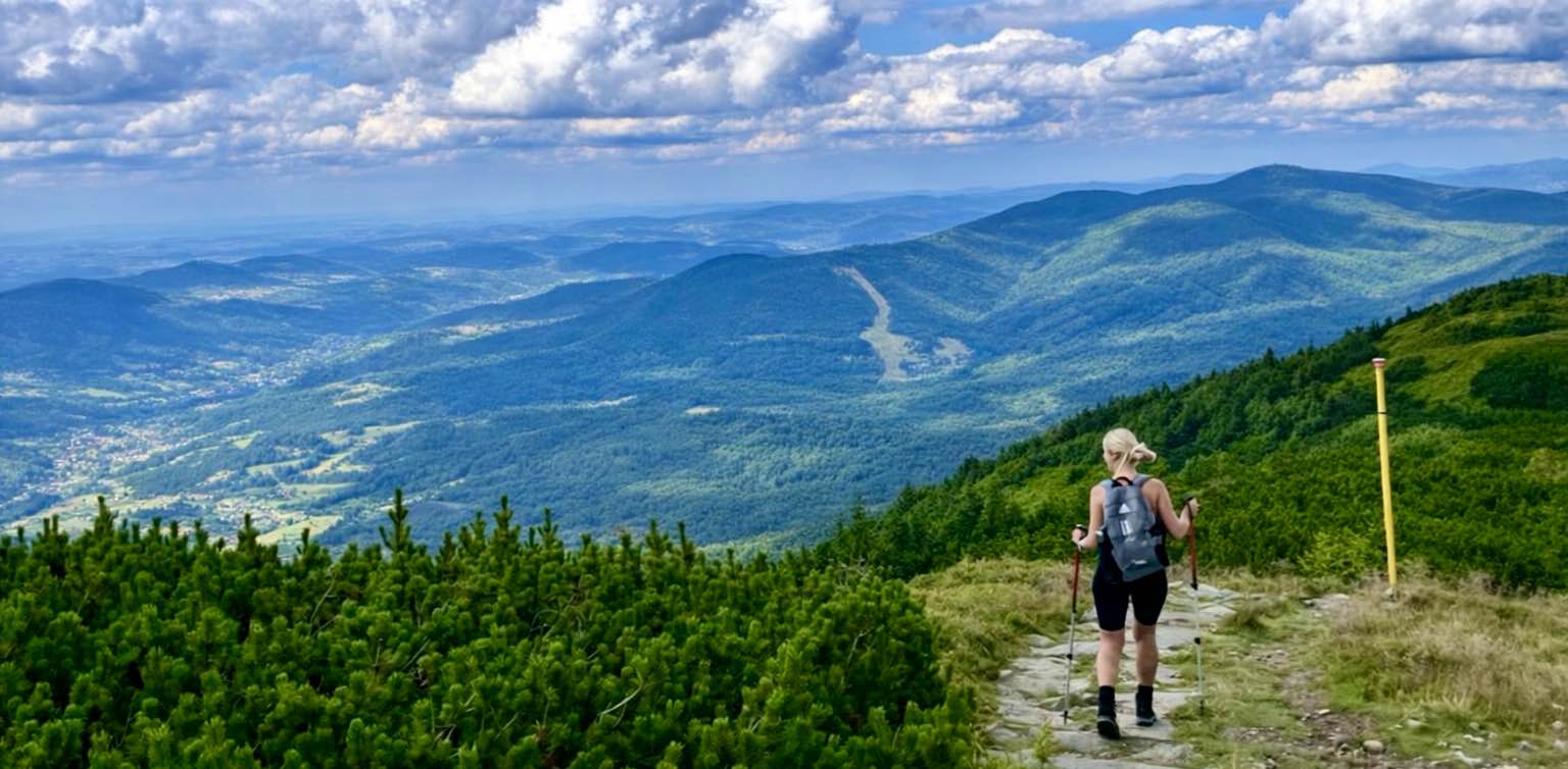 The Year Around Walker’s banner