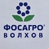 ВФА. Весело шагать-2026 logo