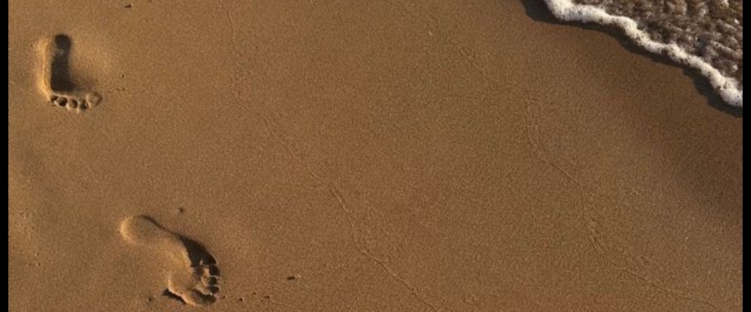 Krokománia 4 👣🖤 banner