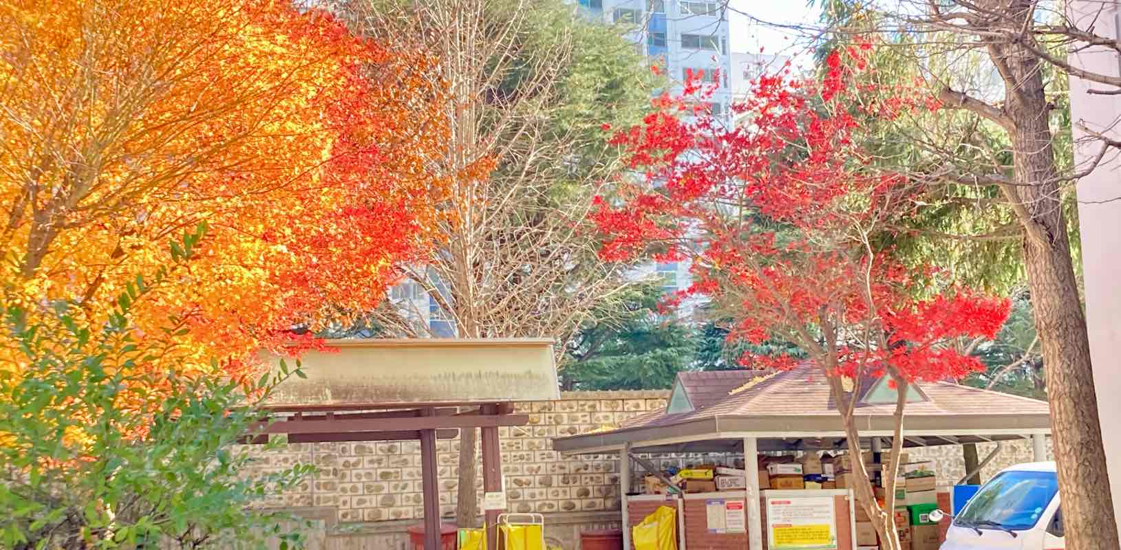 🐾고양이를 찾아서🐾 banner