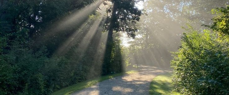 Back on Track 👟🔥 banner