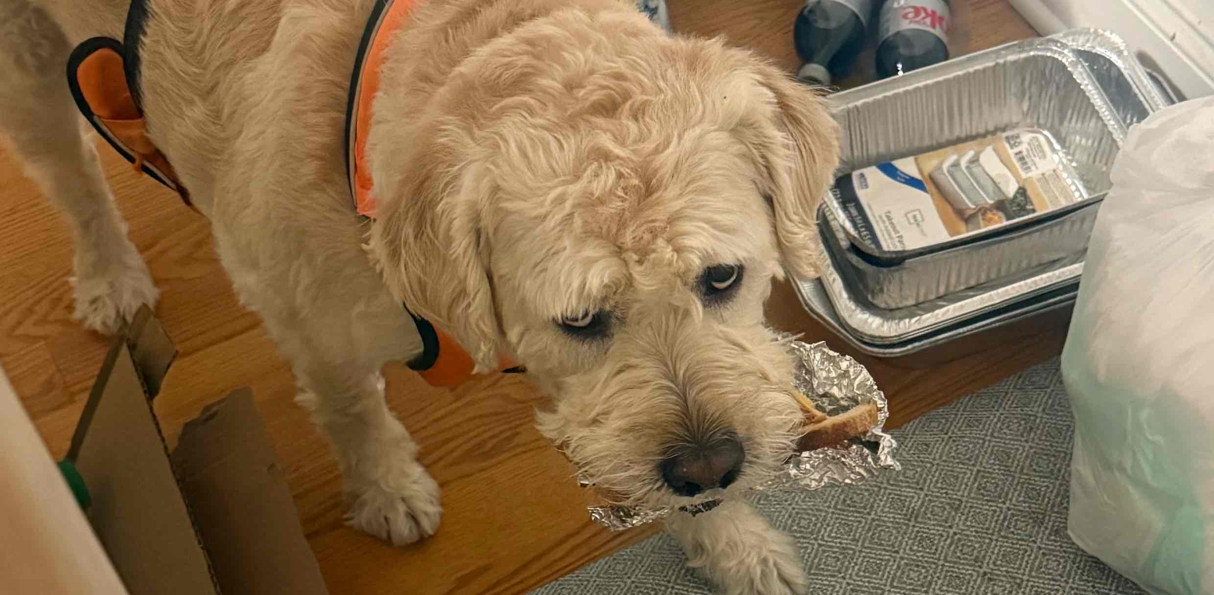 Kutambums💗 banner