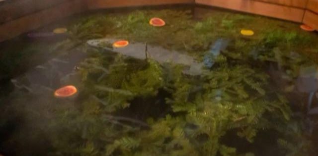 Девочки гуляют banner