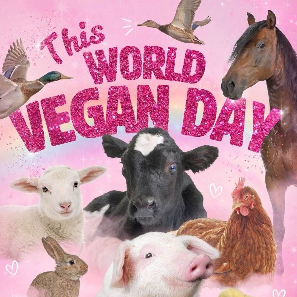 сыро-бабочки🐶🍡彡𓏼 .˚ logo