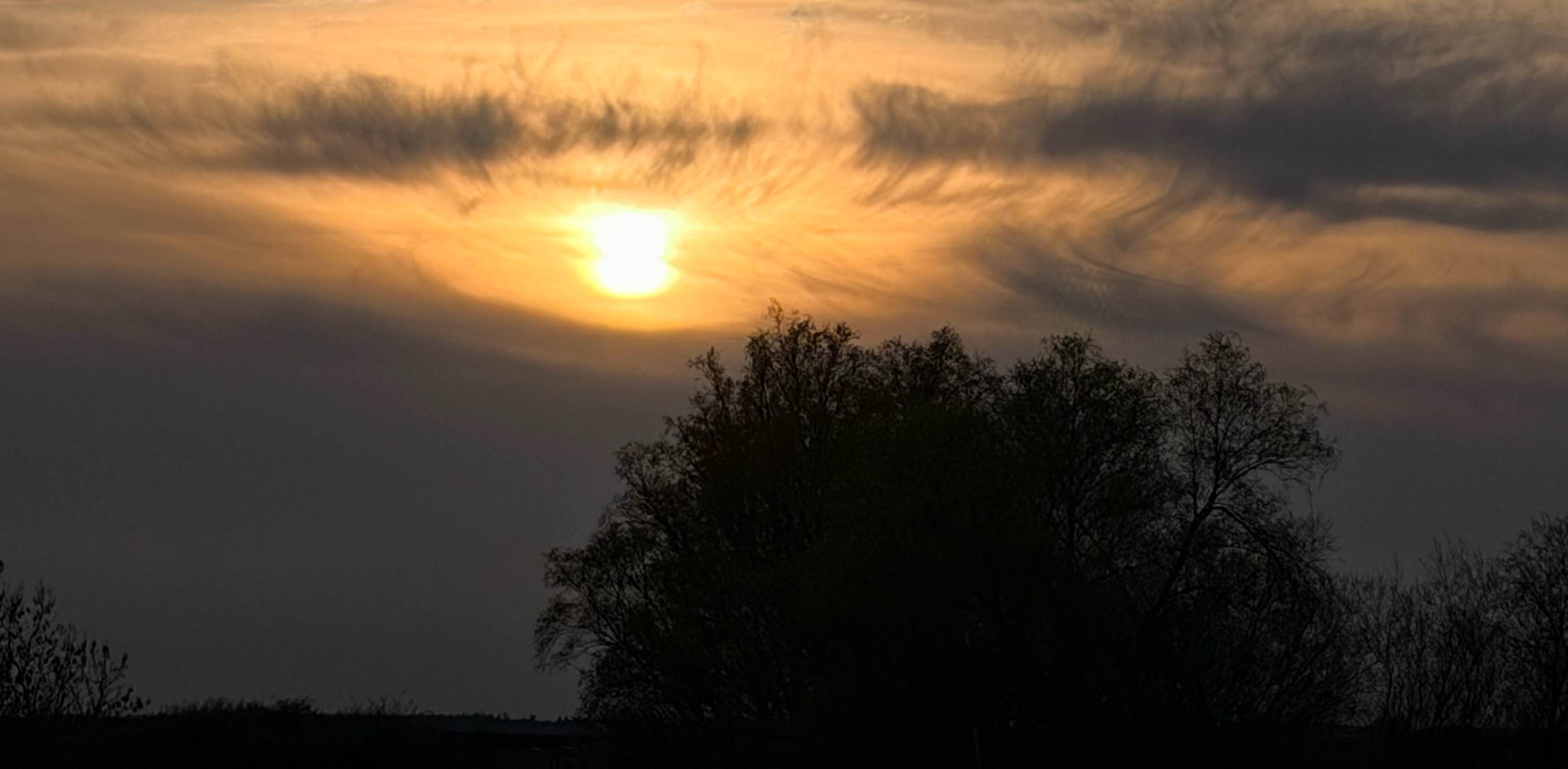 MeckPomm Schrittziel banner