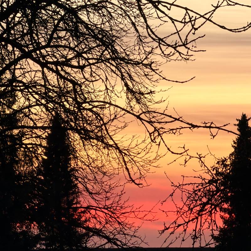 MeckPomm Schrittziel logo