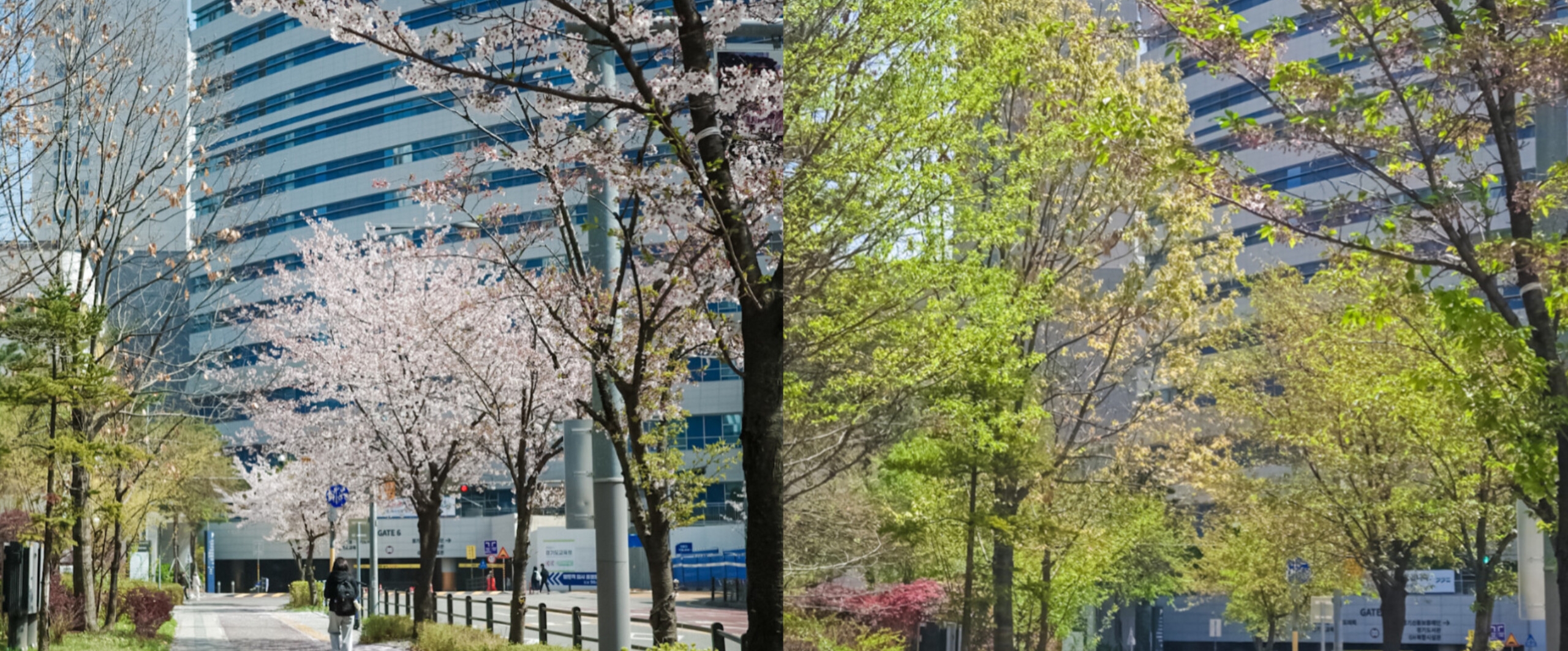 N-ERP banner