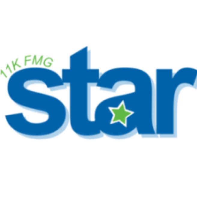 FMG STAR logo