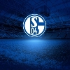 💙🤍FC Schalke 04🤍💙⚽️🏃🏼‍♀️🏃 logo