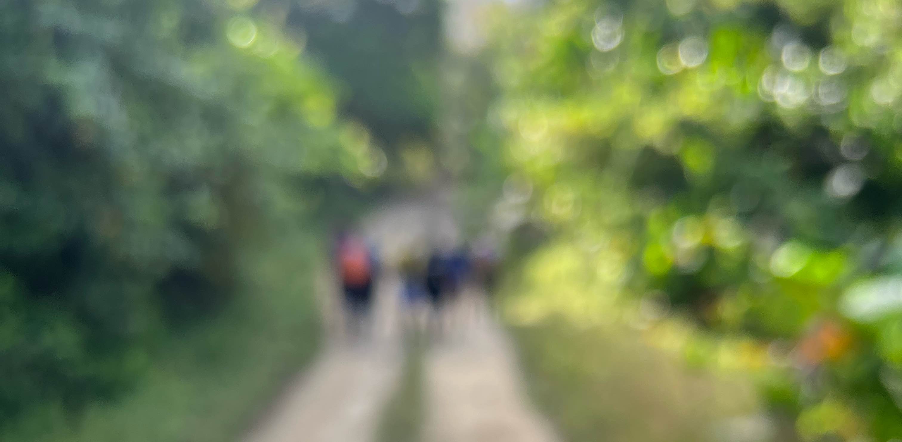 Walking but Ole Talk Club banner