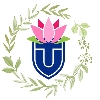 Touro Wellness Committee logo