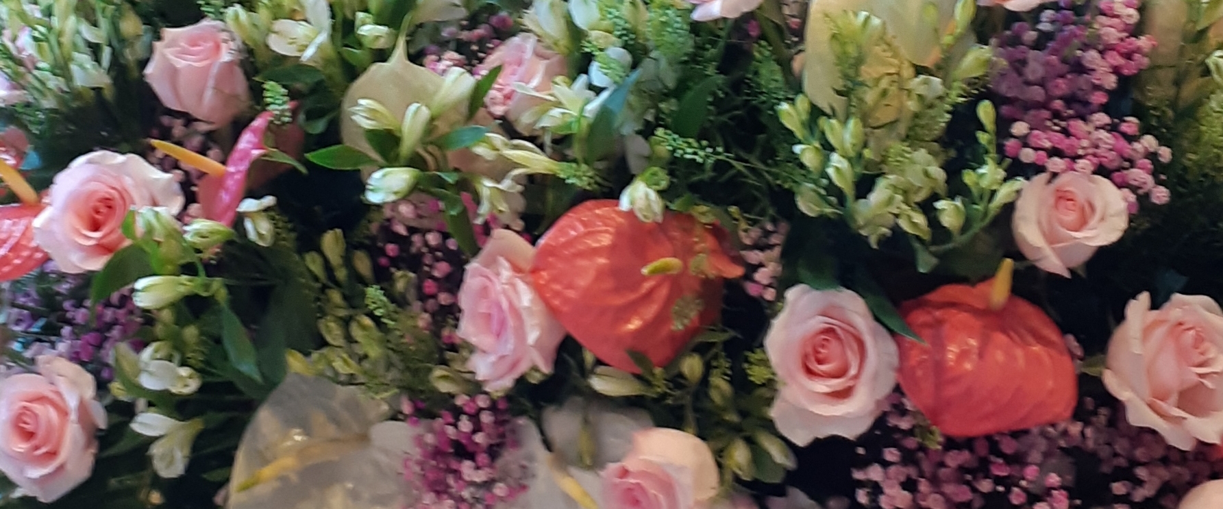 🌸Новосибирск все сюда🌸 banner