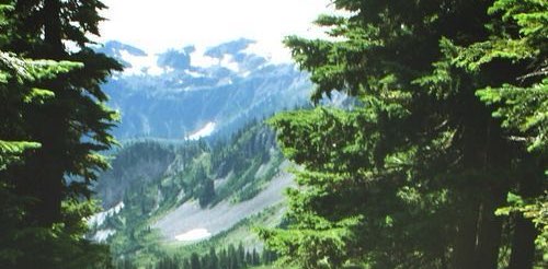 Gewoon wandelen banner