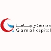 Gamma Hospital Club logo