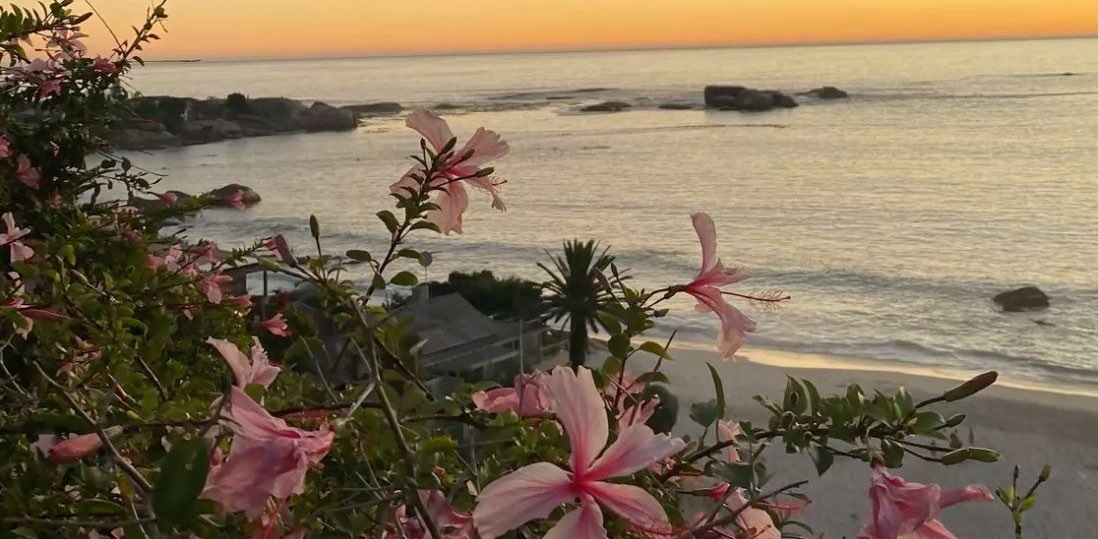 Girlies✨💅 banner