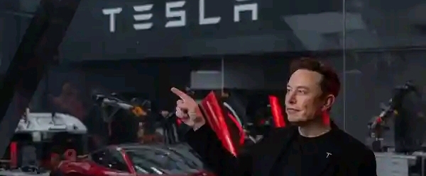 Tesla's x investment company ERM banner