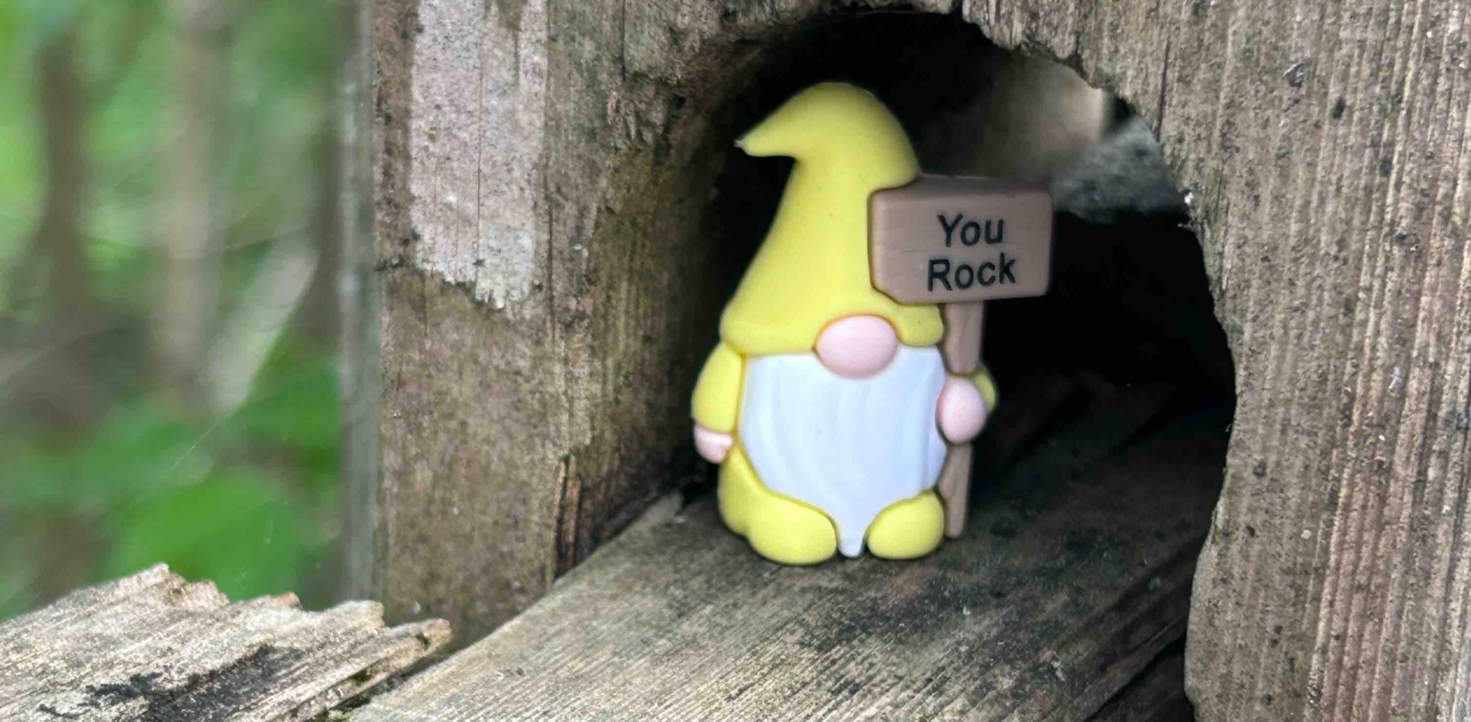 Salt Life and Fitness 🏃🏻‍♀️ banner