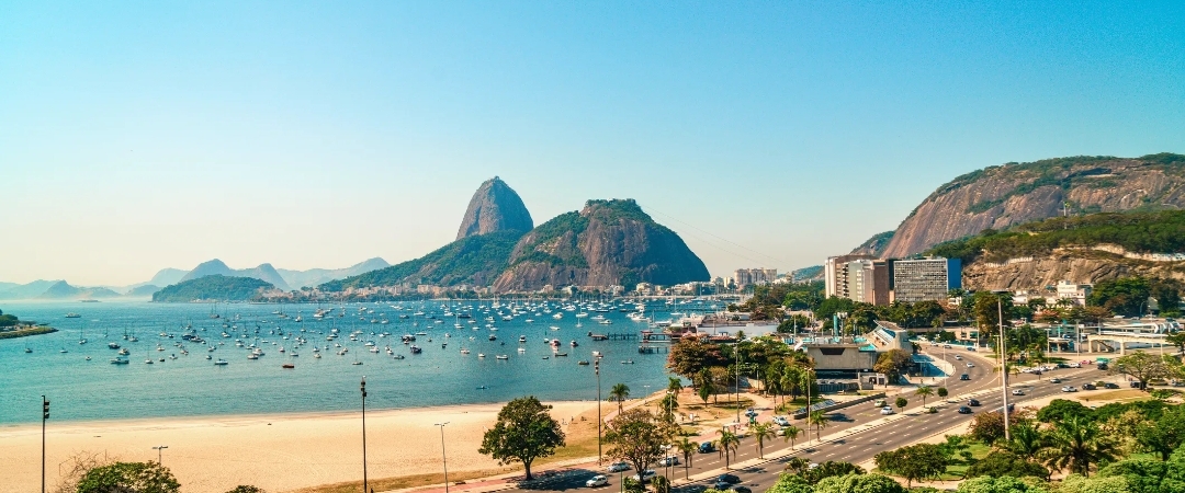 🇧🇷Made in Brazil 🇧🇷 banner