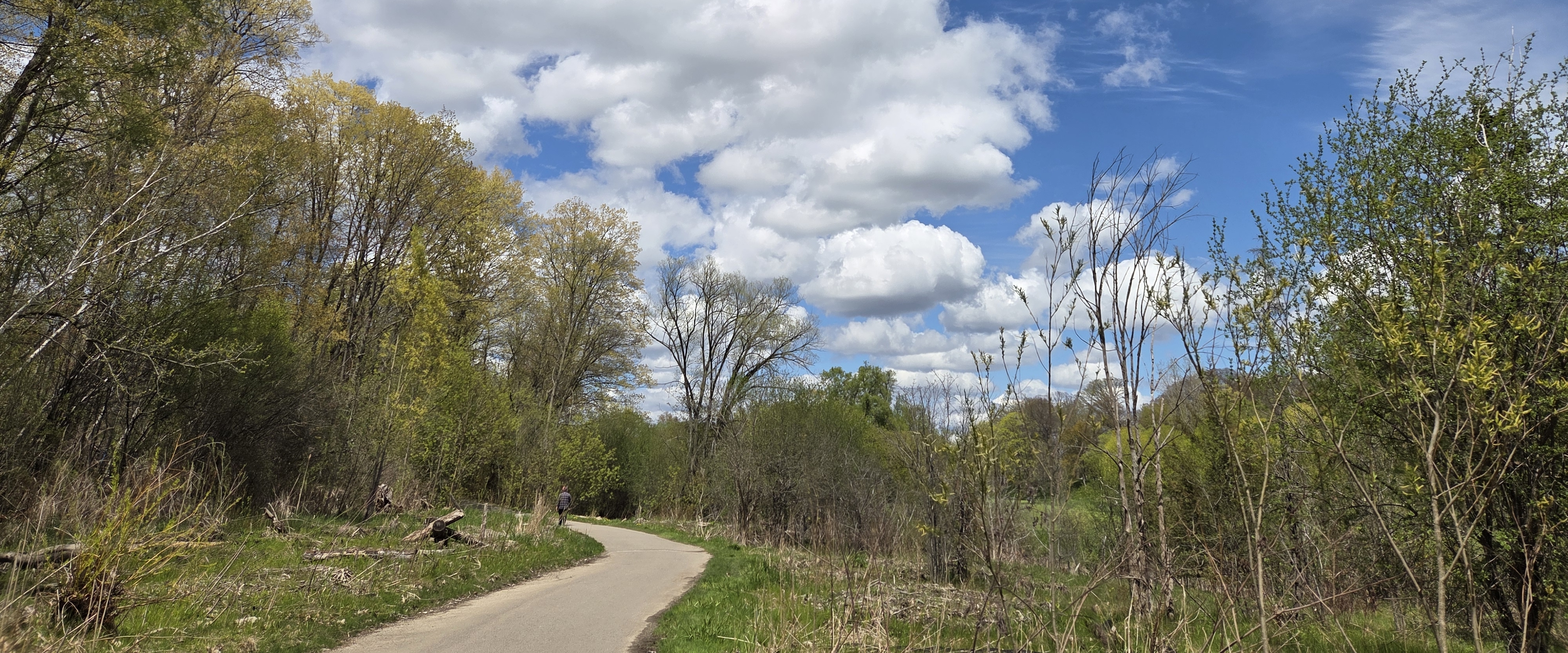 🦋HAPPY WALKS🦋 banner