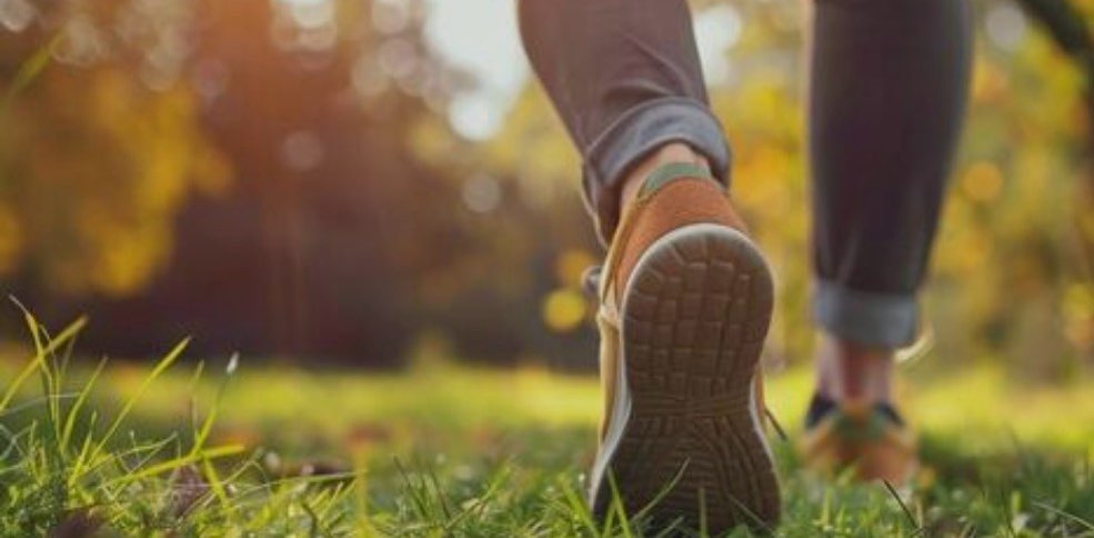 Friendly Walking Challenge banner