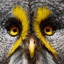 Global Strix Walkers logo