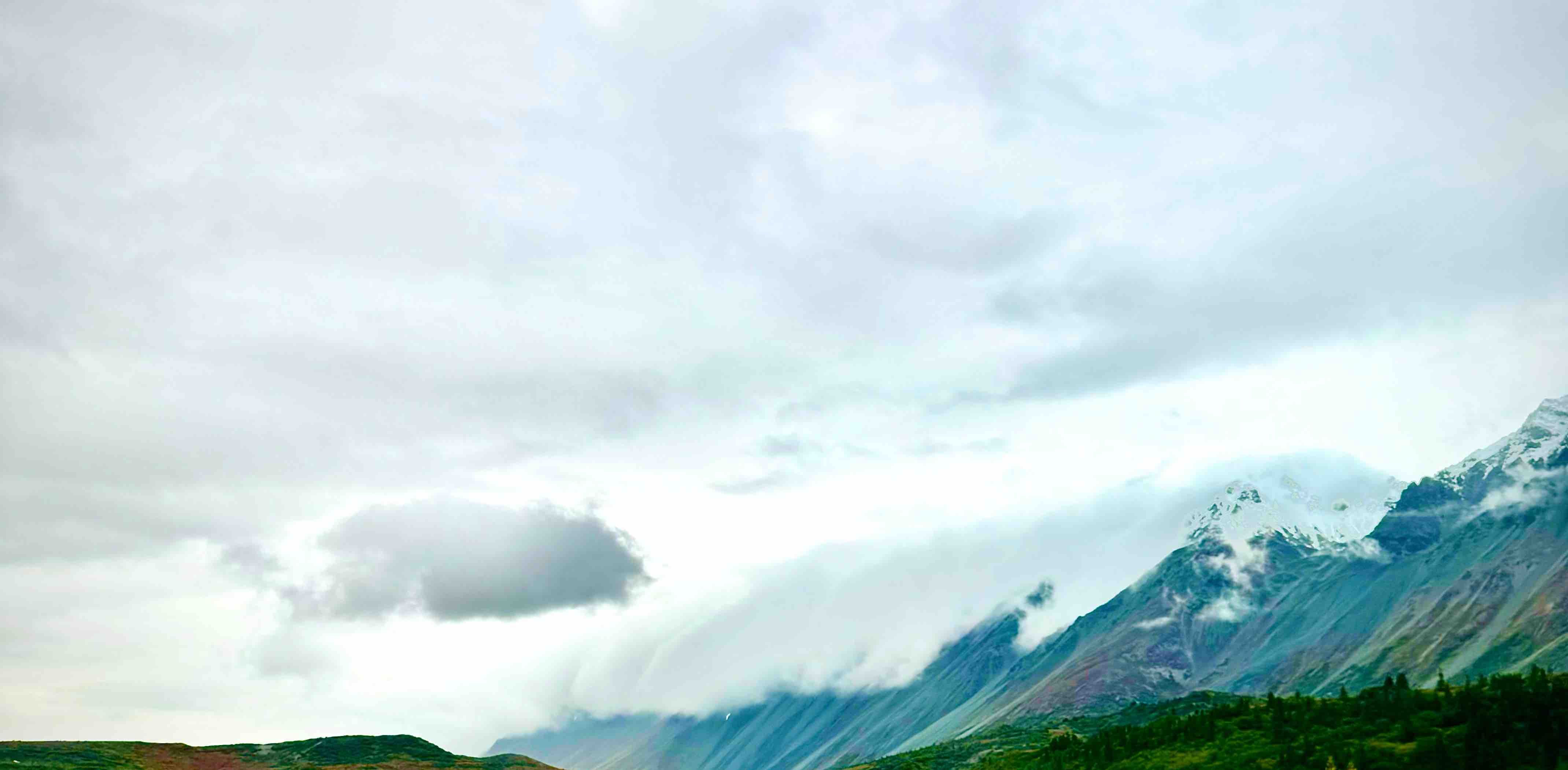 AlaskaRicans banner
