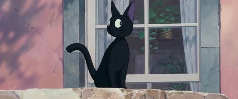 Chasing Cats banner