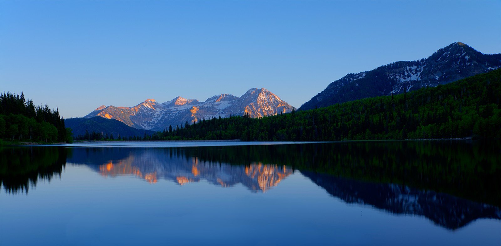 Wasatch Walkers banner