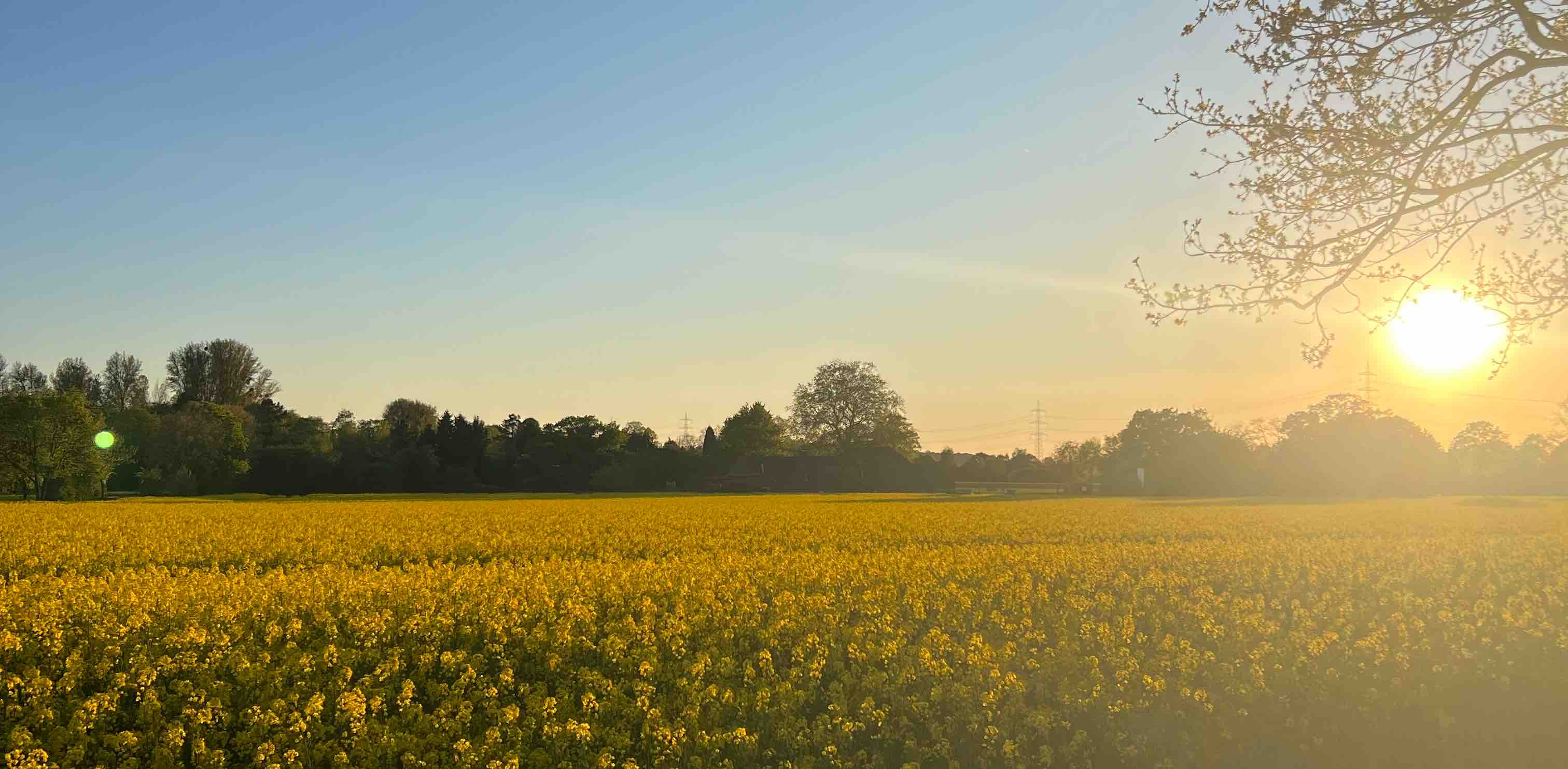 Laufen mit Lächeln ☺️ banner