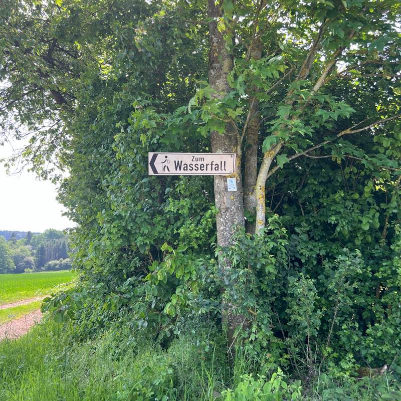 Laufen mit Lächeln ☺️ logo