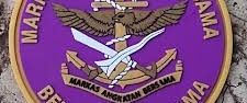 Purple Runner banner