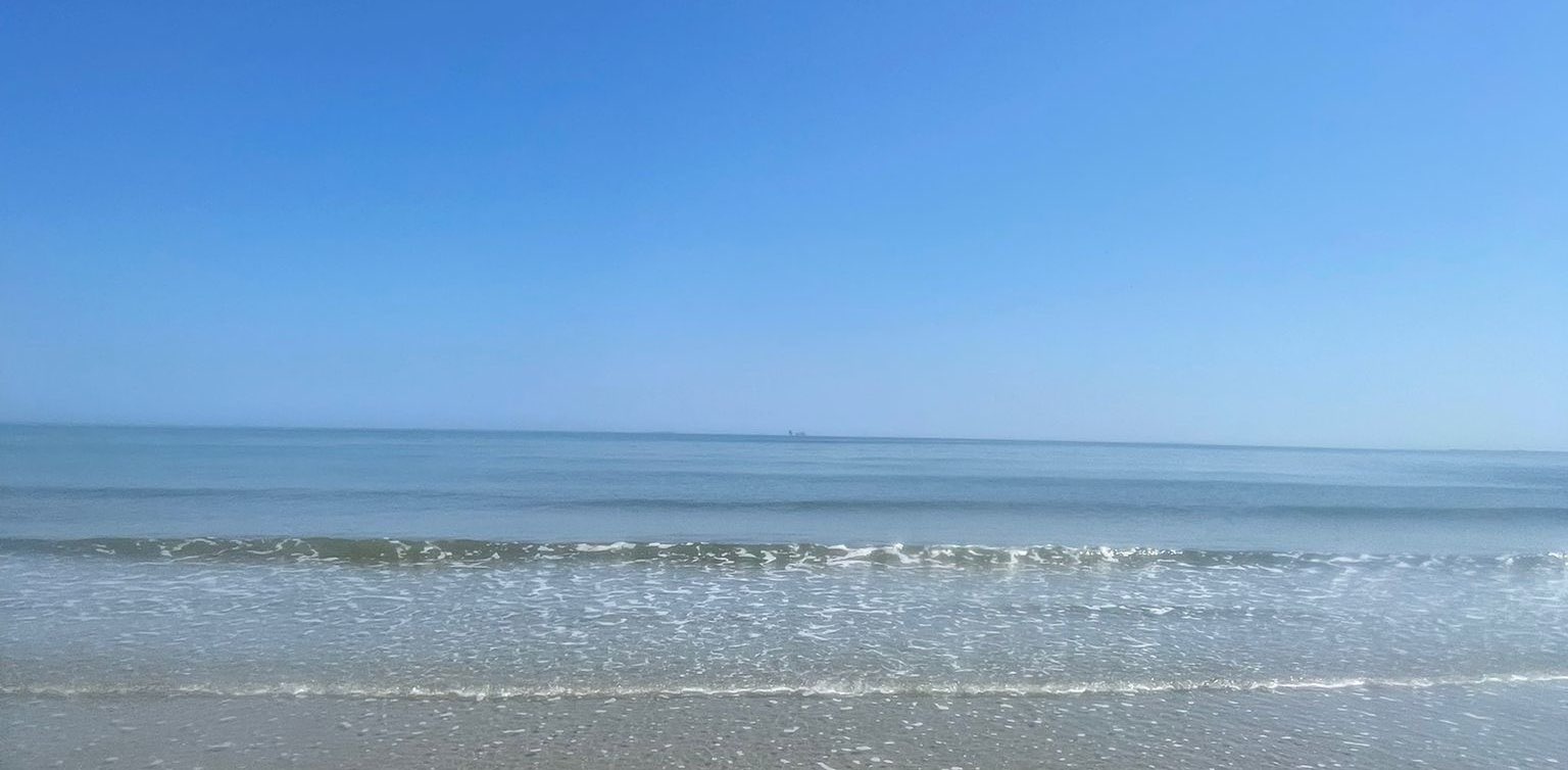 Solari e vivaci 🫶🍀 banner