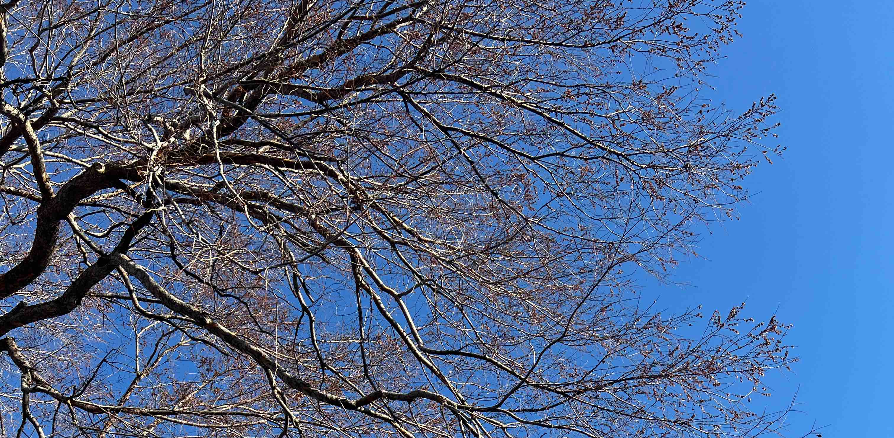 5K banner