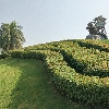 IARI PUSA CAMPUS logo