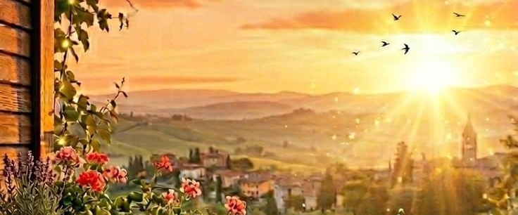 🌞WELLNESS WARRIOR'S🌞 banner