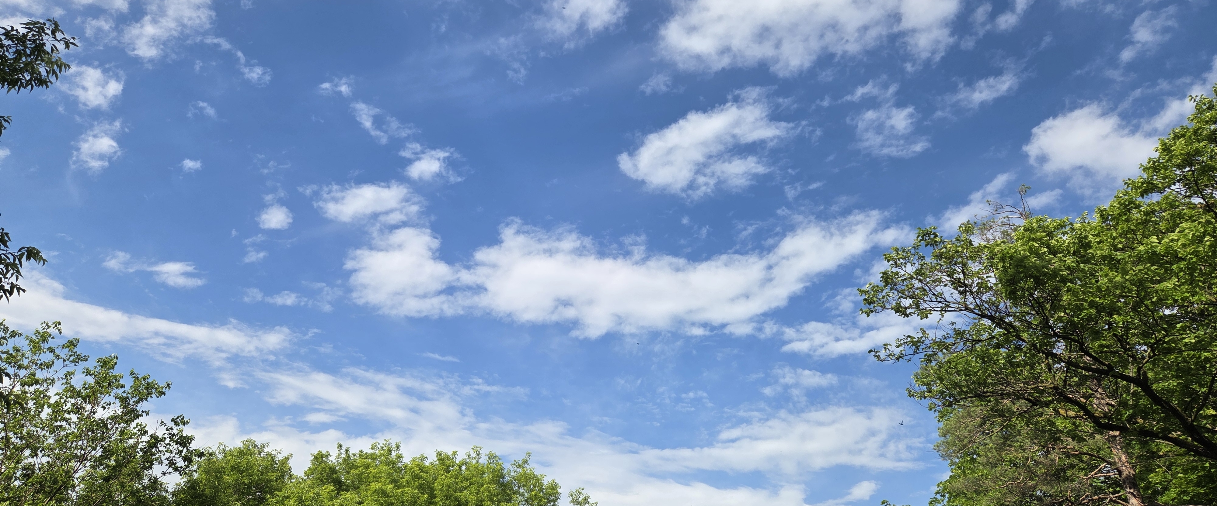 🧡PARK WALKS🧡 banner