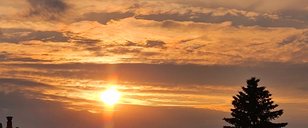 ♥️SUNSET WALKS♥️ banner