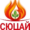 Коучинг 17 поток logo