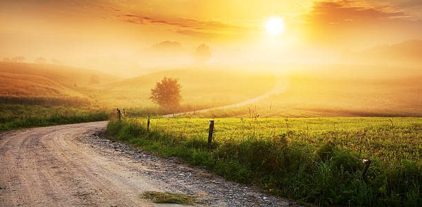 Walk Daily Stay Healthy banner