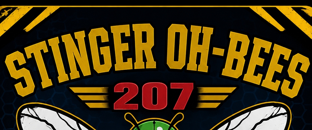207THS Oh-Bees banner